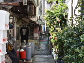 DSC_0701.JPG