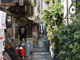 DSC_0703.JPG