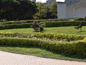 DSC_0710.JPG
