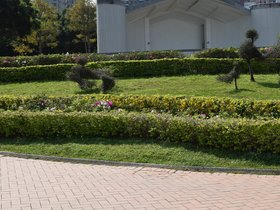 DSC_0711.JPG
