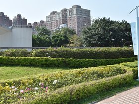 DSC_0712.JPG