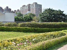 DSC_0713.JPG
