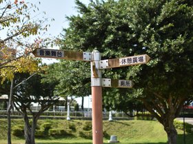 DSC_0717.JPG