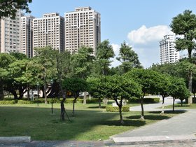 DSC_0732.JPG
