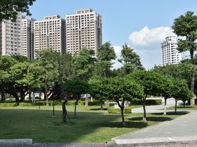 DSC_0733.JPG