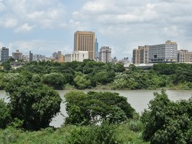 DSC_0831.JPG