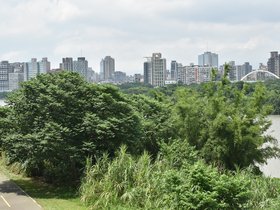 DSC_0977.JPG