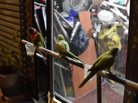 DSC_1070.JPG
