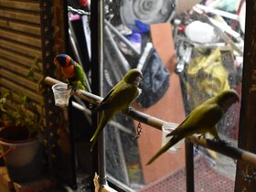 DSC_1071.JPG