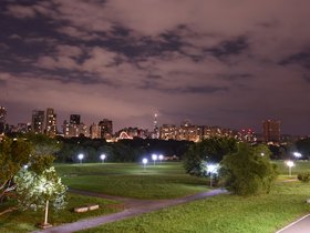 DSC_2956.JPG