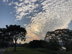 IMG_0945.JPG