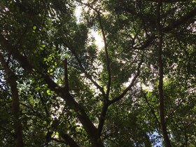 IMG_1529.JPG