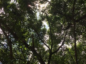 IMG_1531.JPG