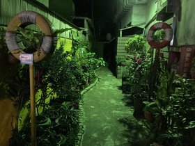 IMG_2665.JPG