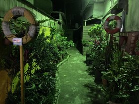 IMG_2666.JPG