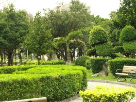 IMG_3295.JPG