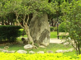 IMG_3296.JPG