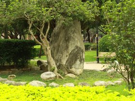 IMG_3297.JPG