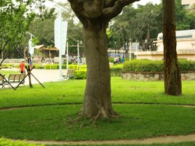 IMG_3302.JPG