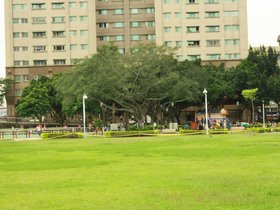 IMG_3311.JPG