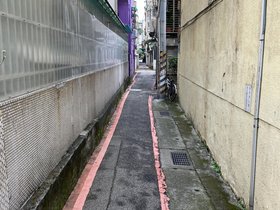 IMG_3513.JPG