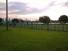 WP_20190512_17_37_37_Pro.jpg