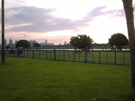 WP_20190512_17_37_44_Pro.jpg