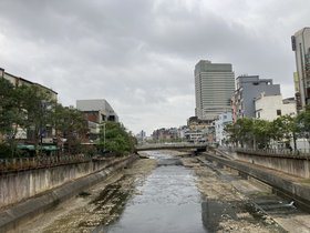 IMG_2743.JPG