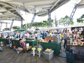 DSC_3030.JPG