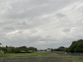 IMG_1298.JPG