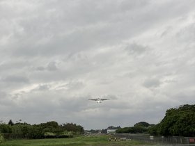 IMG_1299.JPG