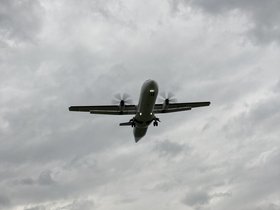 IMG_1303.JPG