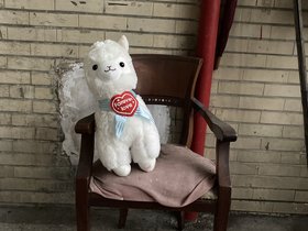 IMG_0547.JPG