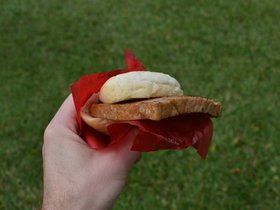 DSC_1576.JPG