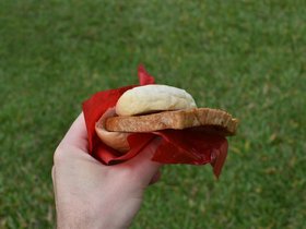 DSC_1577.JPG