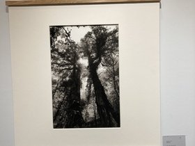 IMG_7934.JPG