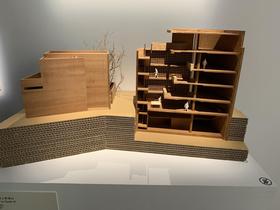 IMG_4037.jpg