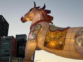 IMG_0771.jpg