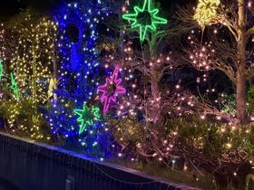 IMG_0807.jpg