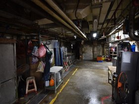 DSC_3919.JPG