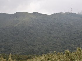 DSC_4715.JPG