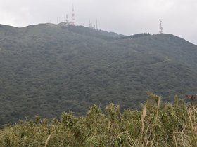 DSC_4717.JPG
