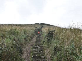 DSC_4718.JPG