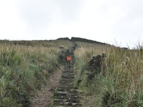 DSC_4719.JPG
