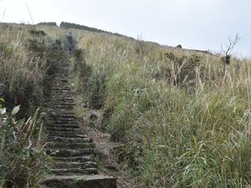 DSC_4720.JPG