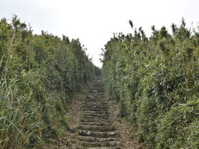 DSC_4729.JPG