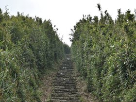 DSC_4730.JPG