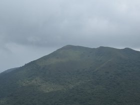 DSC_4732.JPG