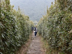 DSC_4733.JPG