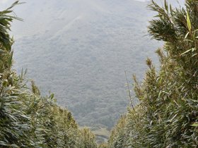 DSC_4734.JPG